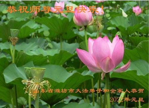 Image for article Felice anno nuovo dai praticanti della Falun Dafa della della città di Weifang (22 Auguri) 