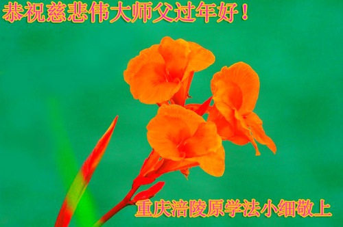 Image for article Praktisi Falun Dafa dari Chongqing dengan Hormat Mengucapkan Selamat Tahun Baru Imlek kepada Guru Li Hongzhi (29 Ucapan)