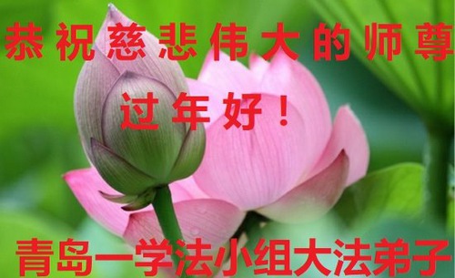 Image for article I praticanti della Falun Dafa della provincia dello Shandong augurano rispettosamente al Maestro Li Hongzhi un Felice Anno Nuovo Cinese (35 auguri) 