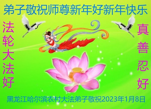Image for article I praticanti di 15 province augurano al Maestro Li un felice Capodanno cinese