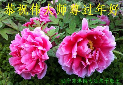 Image for article ​I praticanti della Falun Dafa della provincia del Liaoning augurano con rispetto al Maestro Li Hongzhi un felice anno nuovo cinese (19 auguri) 