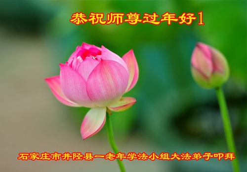 Image for article I praticanti della Falun Dafa di Shijiazhuang augurano rispettosamente al Maestro Li Hongzhi un felice anno nuovo cinese (23 saluti) 