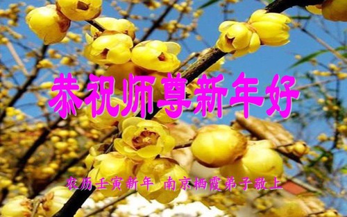 Image for article I praticanti della Falun Dafa della provincia del Jiangsu augurano rispettosamente al Maestro Li Hongzhi un felice anno nuovo cinese (21 Auguri) 