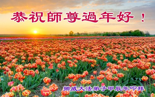 Image for article ¡Los Practicantes de Falun Dafa en Dinamarca, Suecia, Noruega e Italia respetuosamente desean a Shifu un feliz Año Nuevo Chino!