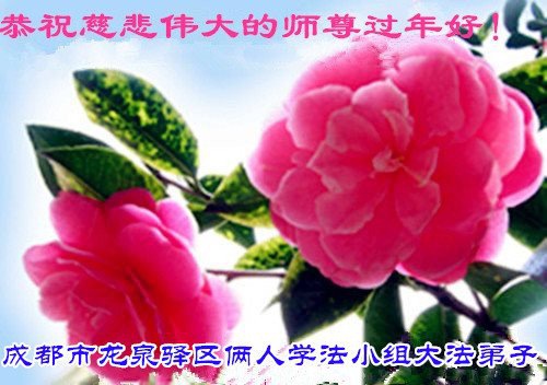 Image for article Praktisi Falun Dafa dari Kota Chengdu Mengucapkan Selamat Tahun Baru Imlek kepada Guru Li Hongzhi Terhormat (18 Ucapan)