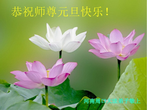 Image for article Praktisi Falun Dafa dari Provinsi Henan Mengucapkan Selamat Tahun Baru kepada Guru Terhormat (20 Ucapan)