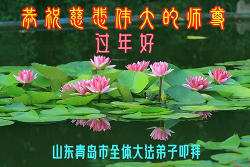 Image for article I praticanti della Falun Dafa della città di Qingdao augurano rispettosamente al Maestro Li Hongzhi un Felice Anno Nuovo Cinese (22 auguri) 