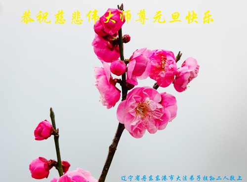 Image for article I praticanti della Falun Dafa della provincia del Liaoning augurano rispettosamente al Maestro Li Hongzhi un felice anno nuovo (24 auguri)