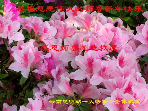 Image for article Praktisi Falun Dafa dari Provinsi Yunnan dengan Hormat Mengucapkan Selamat Tahun Baru kepada Guru Li Hongzhi (20 Ucapan)