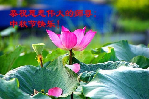 Image for article Praktisi Falun Dafa dari Kota Weifang dengan Hormat Mengucapkan Selamat Festival Pertengahan Musim Gugur kepada Guru Li Hongzhi (19 Ucapan)