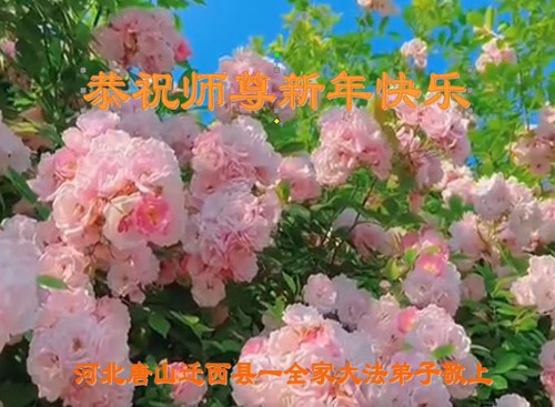 Image for article Praktisi Falun Dafa dari Kota Tangshan Mengucapkan Selamat Tahun Baru kepada Guru Li Hongzhi Terhormat (27 Ucapan)