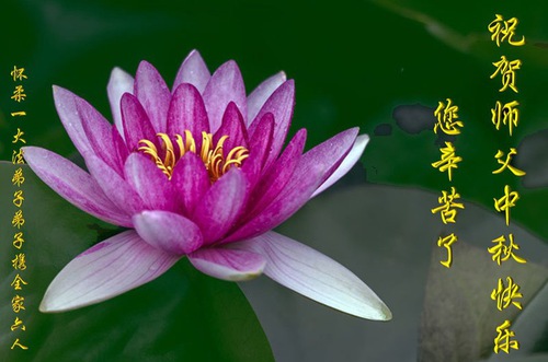 Image for article I praticanti della Falun Dafa di Pechino augurano rispettosamente al Maestro Li Hongzhi una felice Festa di Metà Autunno (21 auguri) 