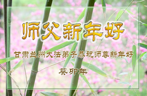 Image for article I praticanti della Falun Dafa nelle province del Fujian, del Gansu e del Guangdong augurano rispettosamente al Maestro Li Hongzhi un felice Capodanno cinese (33 saluti) 