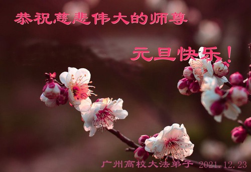 https://en.minghui.org/u/article_images/2021-12-28-211216083044805_01.jpg
