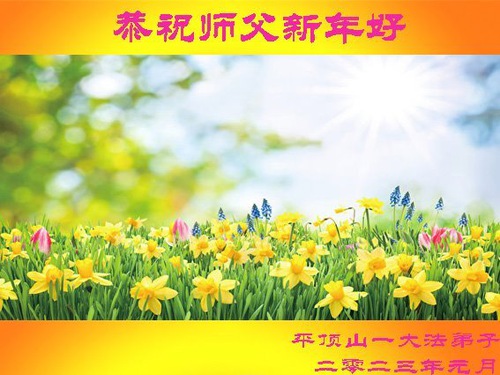 Image for article I praticanti della Falun Dafa nella provincia dell’Henan augurano rispettosamente al Maestro Li Hongzhi un felice anno nuovo (25 saluti)