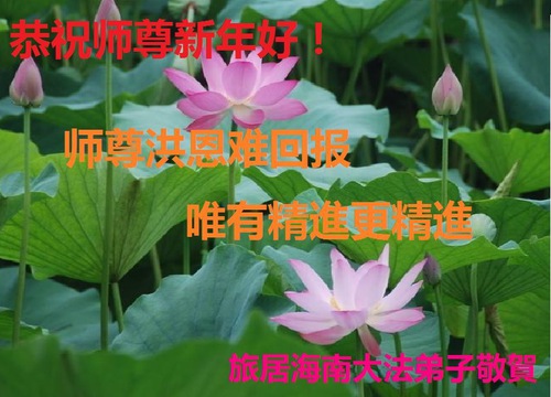 Image for article I praticanti della Falun Dafa nelle province del Guizhou, dell’Hainan, dello Jilin e del Liaoning augurano rispettosamente al Maestro Li Hongzhi un felice Capodanno cinese (27 saluti) 