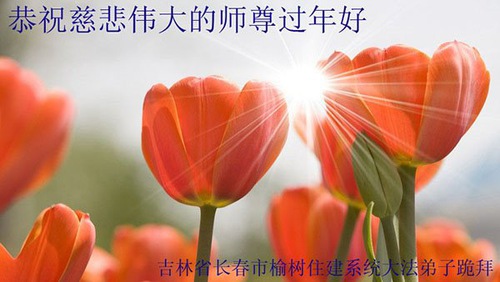 Image for article I praticanti della Falun Dafa di Changchun augurano rispettosamente al Maestro Li Hongzhi un Felice Anno Nuovo Cinese (21 Auguri)