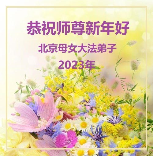 Image for article Praktisi Falun Dafa dari Beijing Mengucapkan Selamat Tahun Baru Imlek kepada Guru Li Hongzhi Terhormat (22 Ucapan)
