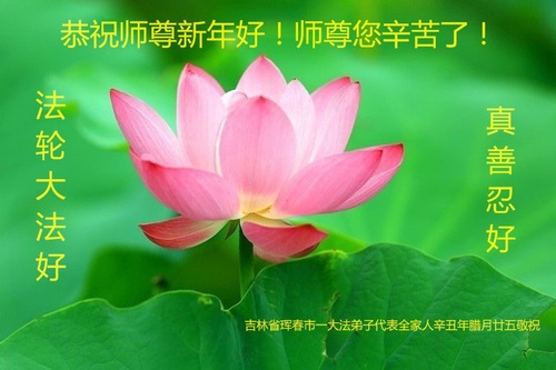 Image for article I praticati della Falun Dafa della provincia del Jilin augurano rispettosamente al Maestro Li Hongzhi un felice anno nuovo cinese (25 Auguri)