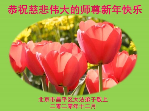Image for article Praktisi Falun Dafa dari Beijing Mengucapkan Selamat Tahun Baru kepada Guru Terhormat (29 Ucapan)