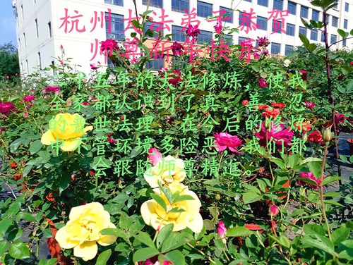 Image for article I praticati della Falun Dafa della provincia del Zhejiang augurano rispettosamente al Maestro Li Hongzhi un felice anno nuovo cinese (26 Auguri)