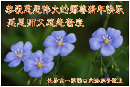 Image for article I praticanti della Falun Dafa della città di Changchun augurano rispettosamente al Maestro Li Hongzhi un Felice Anno Nuovo Cinese (18 auguri)