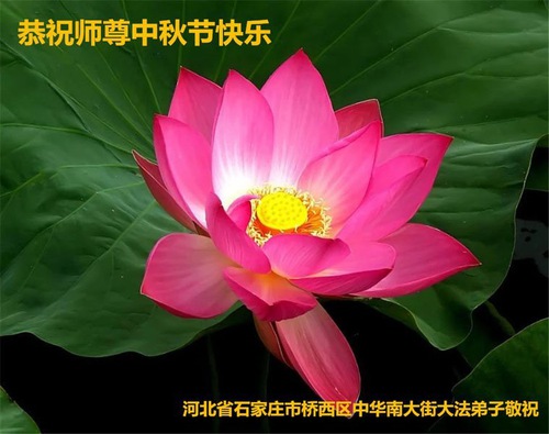 Image for article I praticanti della Falun Dafa della città di Shijiazhuang augurano rispettosamente al Maestro Li Hongzhi una felice Festa di Metà Autunno (28 auguri) 