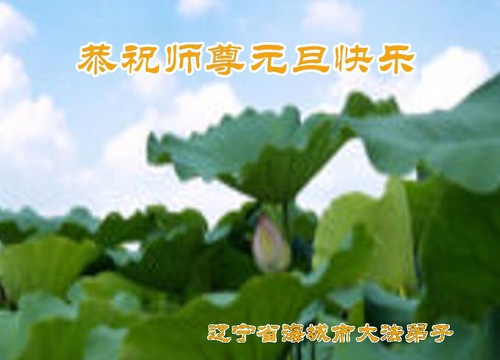 Image for article I praticanti della Falun Dafa nella provincia del Liaoning augurano rispettosamente al Maestro Li Hongzhi un felice anno nuovo (20 saluti)