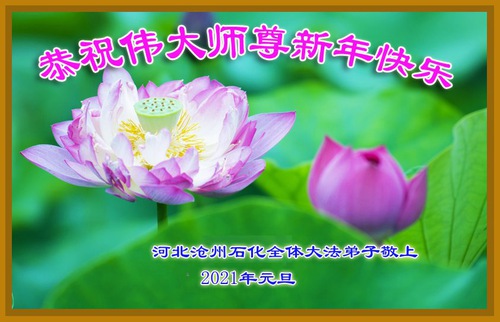 Image for article I praticanti della Falun Dafa in diverse professioni augurano un felice anno nuovo al venerato maestro (28 saluti)