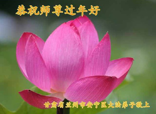 Image for article I praticanti della Falun Dafa della provincia del Gansu augurano rispettosamente al Maestro Li Hongzhi un Felice Anno Nuovo Cinese (21 auguri) 