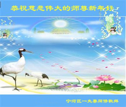 Image for article Praktisi Falun Dafa dari Tianjin dengan Hormat Mengucapkan Selamat Tahun Baru Imlek kepada Guru Li Hongzhi (25 Ucapan)