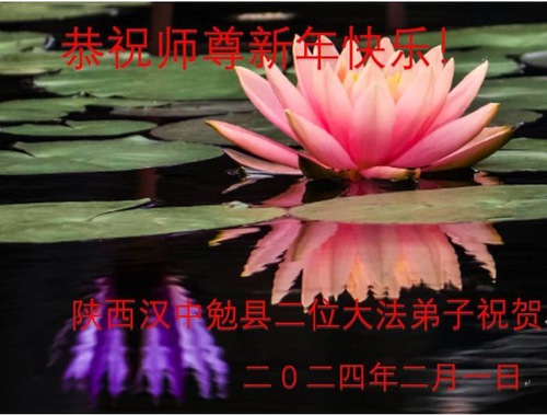 Image for article I praticanti della Falun Dafa della provincia dello Shaanxi augurano rispettosamente al Maestro Li Hongzhi un Felice Anno Nuovo Cinese (18 auguri)