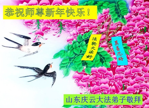 Image for article I praticanti della Falun Dafa della provincia dello Shandong augurano con rispetto al Maestro Li Hongzhi un felice anno nuovo cinese (26 Auguri) 