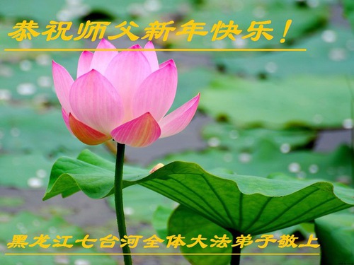 Image for article I praticanti della Falun Dafa della provincia dell’Heilongjiang augurano rispettosamente al Maestro Li Hongzhi un Felice Anno Nuovo Cinese (23 auguri)