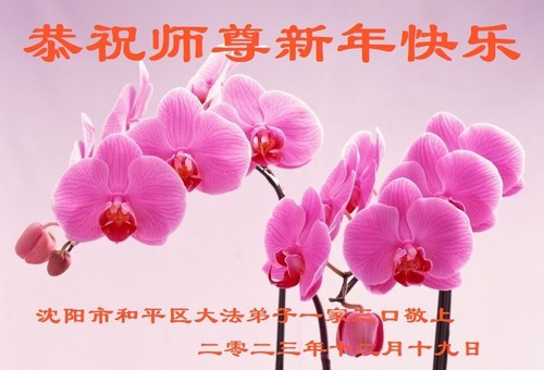 Image for article I praticanti della Falun Dafa della città di Shenyang augurano rispettosamente al Maestro Li Hongzhi un felice anno nuovo (19 auguri)