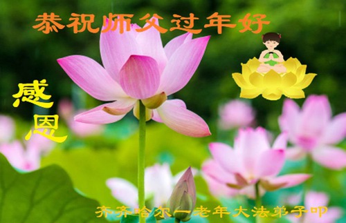 Image for article I praticanti della Falun Dafa della città di Qiqihar augurano rispettosamente al Maestro Li Hongzhi un Felice Anno Nuovo Cinese (21 auguri) 