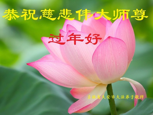 Image for article Praktisi Falun Dafa dari Provinsi Jilin Mengucapkan Selamat Tahun Baru Imlek kepada Guru Li Hongzhi Terhormat (20 Ucapan) 