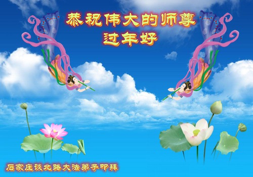 Image for article I praticanti della Falun Dafa di Shijiazhuang augurano rispettosamente al Maestro Li Hongzhi un felice anno nuovo cinese (24 saluti) 