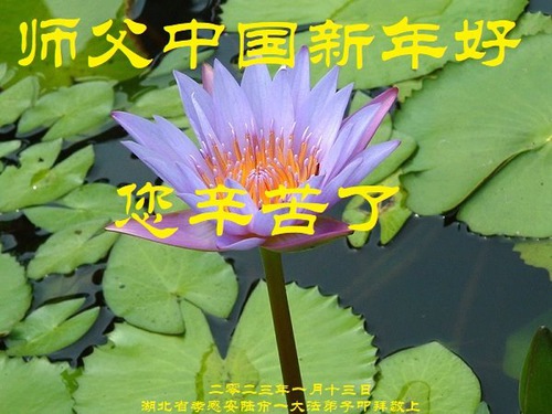 Image for article I praticanti della Falun Dafa della provincia dell’Hubei augurano rispettosamente al Maestro Li Hongzhi un Felice Anno Nuovo Cinese (23 auguri) 