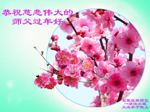 Image for article I praticanti della Falun Dafa di Shijiazhuang augurano rispettosamente al Maestro Li Hongzhi un felice anno nuovo cinese (22 saluti) 