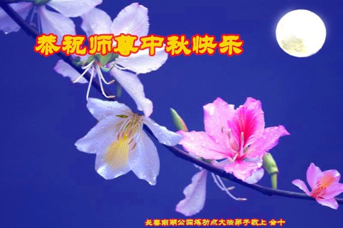 Image for article I praticanti della Falun Dafa della città di Changchun augurano rispettosamente al Maestro Li Hongzhi una felice Festa di Metà Autunno (21 auguri) 