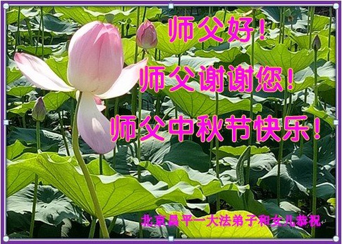 Image for article ​  I praticanti della Falun Dafa della città di Beijing augurano rispettosamente al Maestro Li Hongzhi un felice Festival di Metà Autunno (22 saluti)