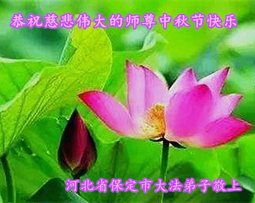 Image for article Praktisi Falun Dafa dari Kota Baoding dengan Hormat Mengucapkan Selamat Merayakan Festival Pertengahan Musim Gugur kepada Guru Li Hongzhi (22 Ucapan)