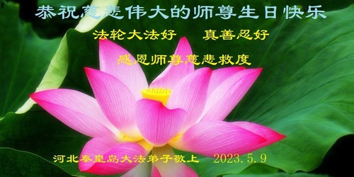 Image for article Praktisi Falun Dafa dari Qinhuangdao Merayakan Hari Falun Dafa Sedunia dan dengan Hormat Mengucapkan Selamat Ulang Tahun kepada Guru Li Hongzhi (20 Ucapan)