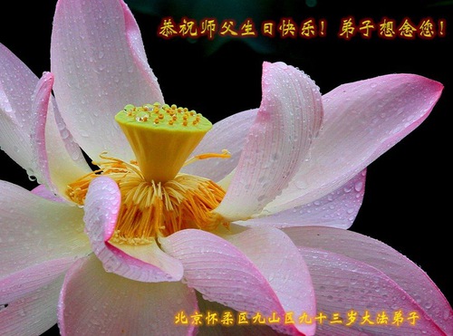 Image for article I praticanti della Falun Dafa di Pechino celebrano la Giornata Mondiale della Falun Dafa e augurano rispettosamente al Maestro Li Hongzhi un felice compleanno (18 Auguri) 