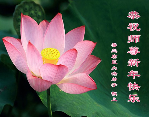 Image for article ​Felice anno nuovo dai praticanti della Falun Dafa della della città di Dalian (22 Auguri) 
