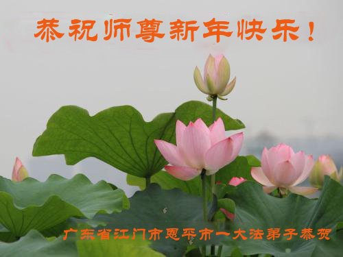Image for article Praktisi Falun Dafa dari Provinsi Guangdong dengan Hormat  Mengucapkan Selamat Tahun Baru Imlek kepada Guru Li Hongzhi Terhormat (23 Ucapan)