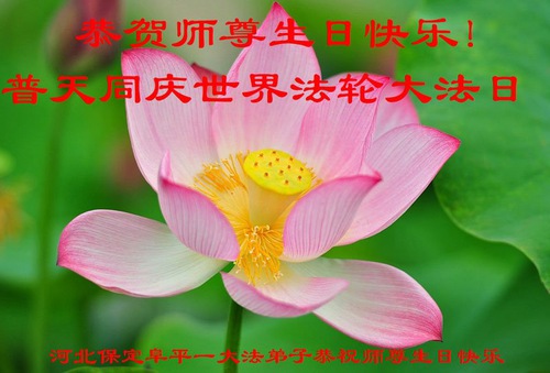 Image for article ​I praticanti della Falun Dafa della città di Baoding celebrano la Giornata Mondiale della Falun Dafa e augurano rispettosamente al Maestro Li Hongzhi un buon compleanno (22 cartoline)