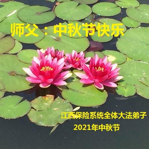 Image for article ​  I praticanti della Falun Dafa di varie professioni augurano rispettosamente al Maestro Li Hongzhi una felice Festa di Metà Autunno (34 saluti) 