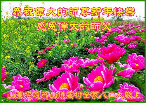 Image for article  I praticanti della Falun Dafa in campagna in Cina augurano al Maestro Li Hongzhi un felice anno nuovo (29 saluti) 